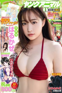 新红楼梦女演员12钗介绍